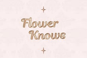 Flower Knows Official Online Store